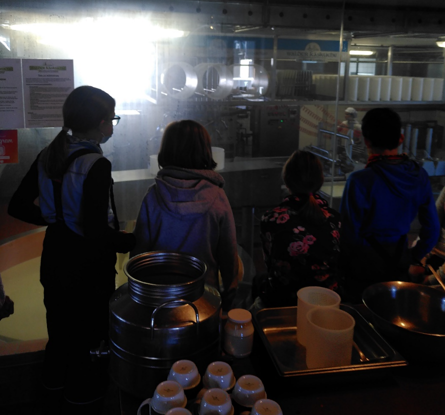 Die Schülerinnen und Schüler beobachten die Käseherstellung in der Walder Käskuche